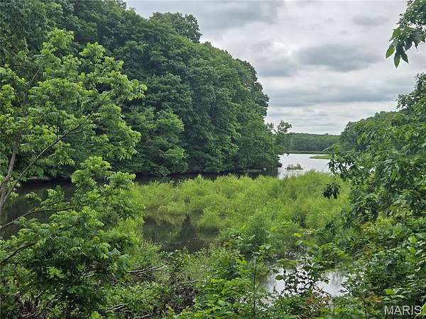 24 Acres of Recreational & Residential Land for Sale in Mount Olive, Illinois