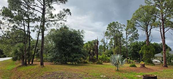 0.24 Acres of Residential Land for Sale in North Port, Florida
