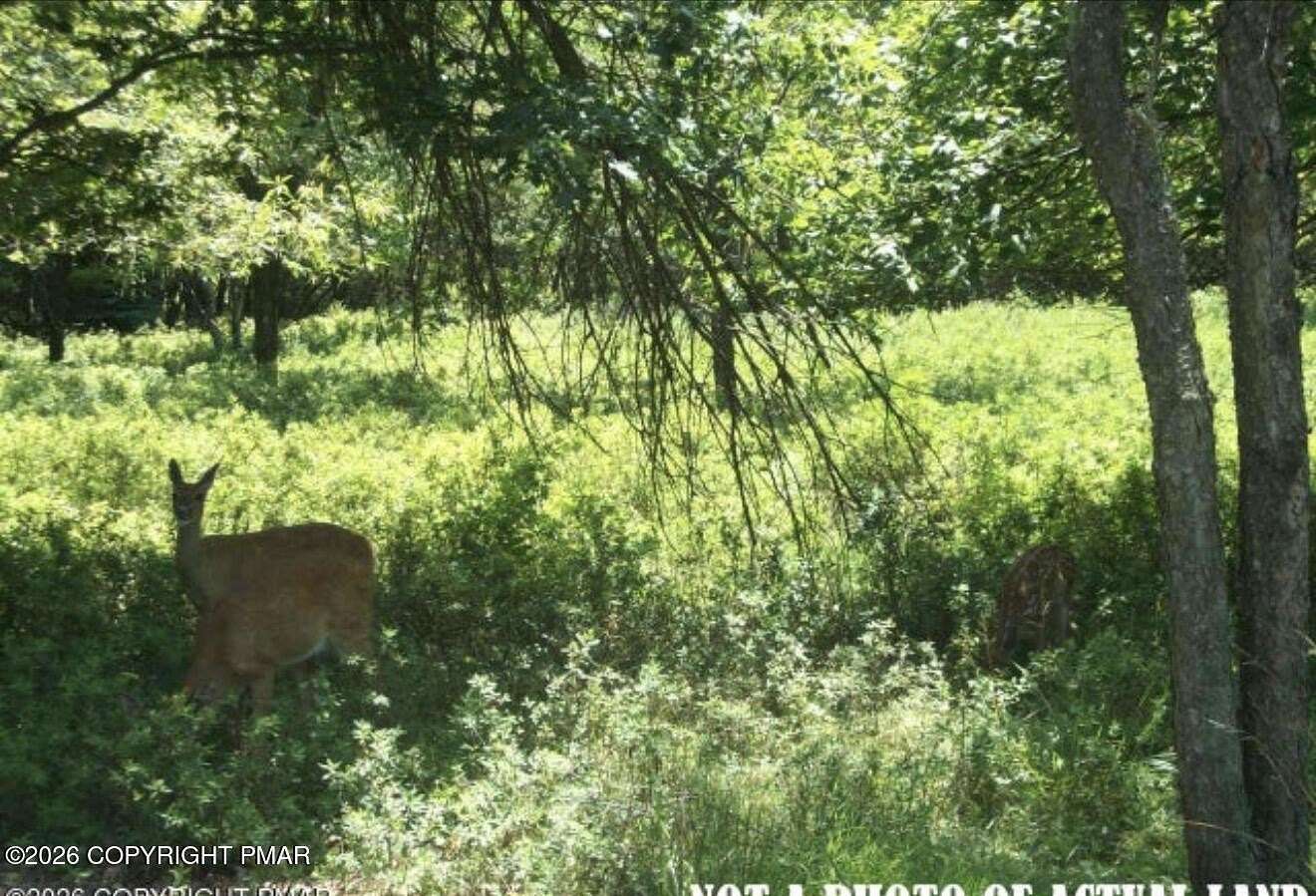 0.28 Acres of Residential Land for Sale in Albrightsville, Pennsylvania