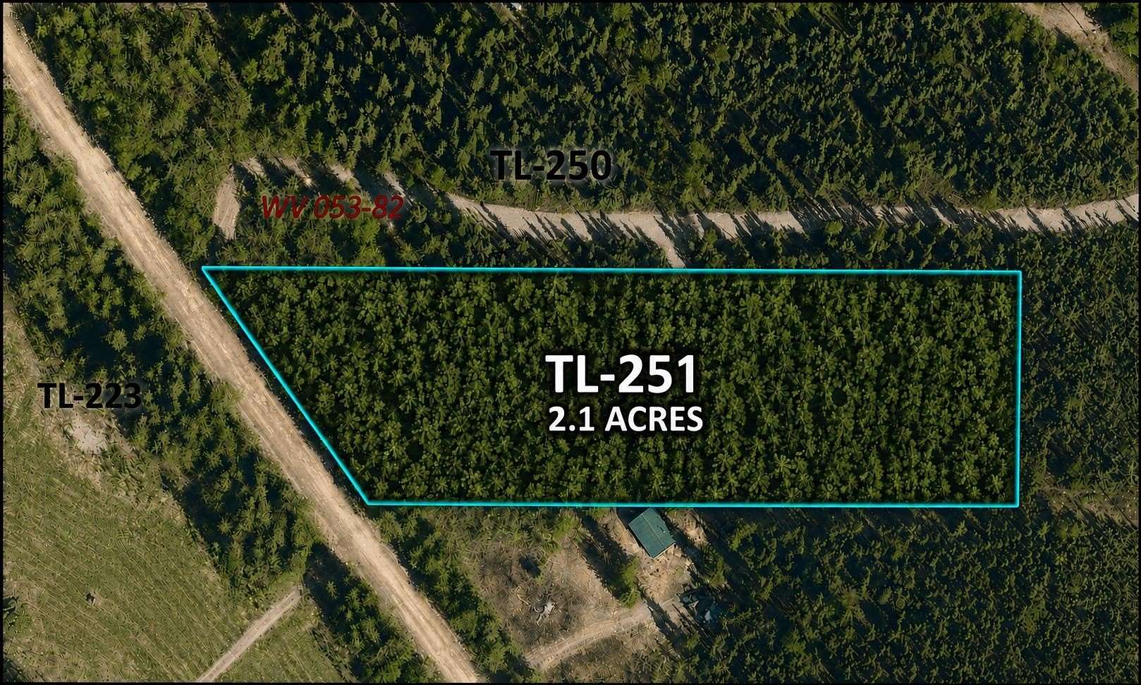 2 Acres of Residential Land for Sale in Salcha, Alaska