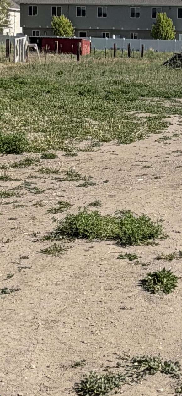 2.1 Acres of Residential Land for Sale in Blackfoot, Idaho