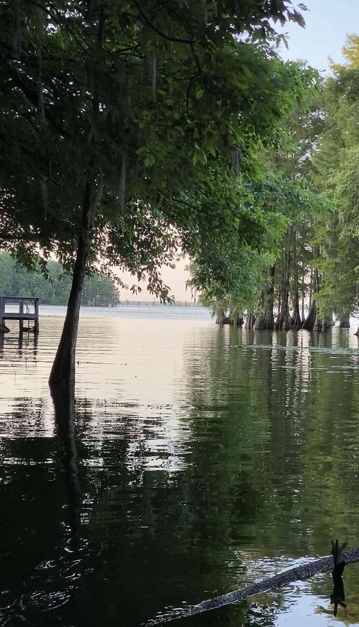 2.3 Acres of Residential Land for Sale in Elloree, South Carolina