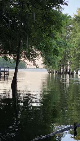2.3 Acres of Residential Land for Sale in Elloree, South Carolina