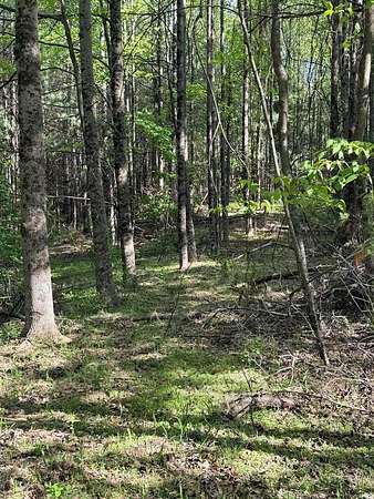 72.2 Acres of Recreational Land for Sale in Galax, Virginia