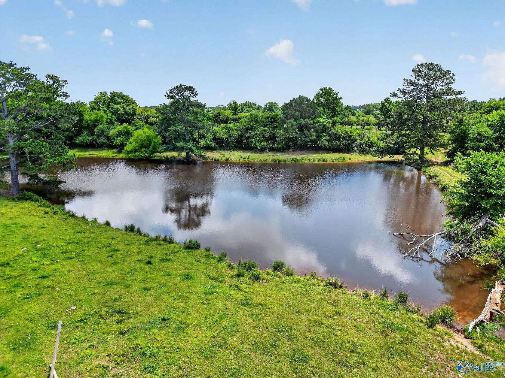 19 Acres of Land for Sale in Horton, Alabama