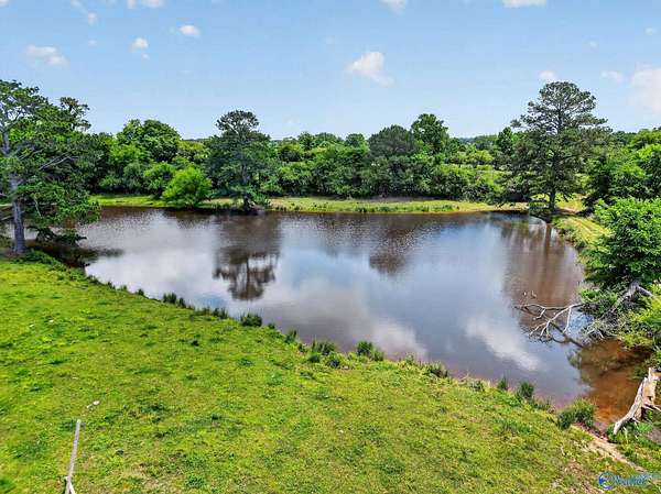 19 Acres of Land for Sale in Horton, Alabama