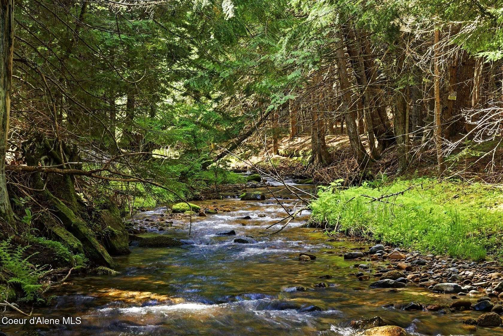 12.4 Acres of Land for Sale in Sandpoint, Idaho