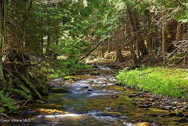 12.4 Acres of Land for Sale in Sandpoint, Idaho