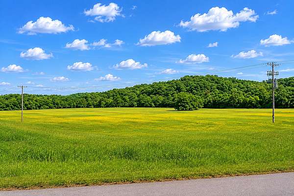 58.8 Acres of Land for Sale in Mount Pleasant, Tennessee