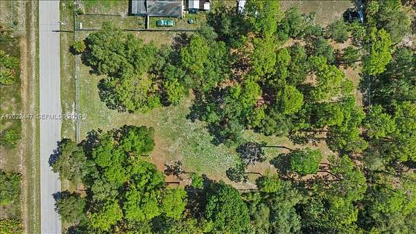 1.25 Acres of Residential Land for Sale in Clewiston, Florida