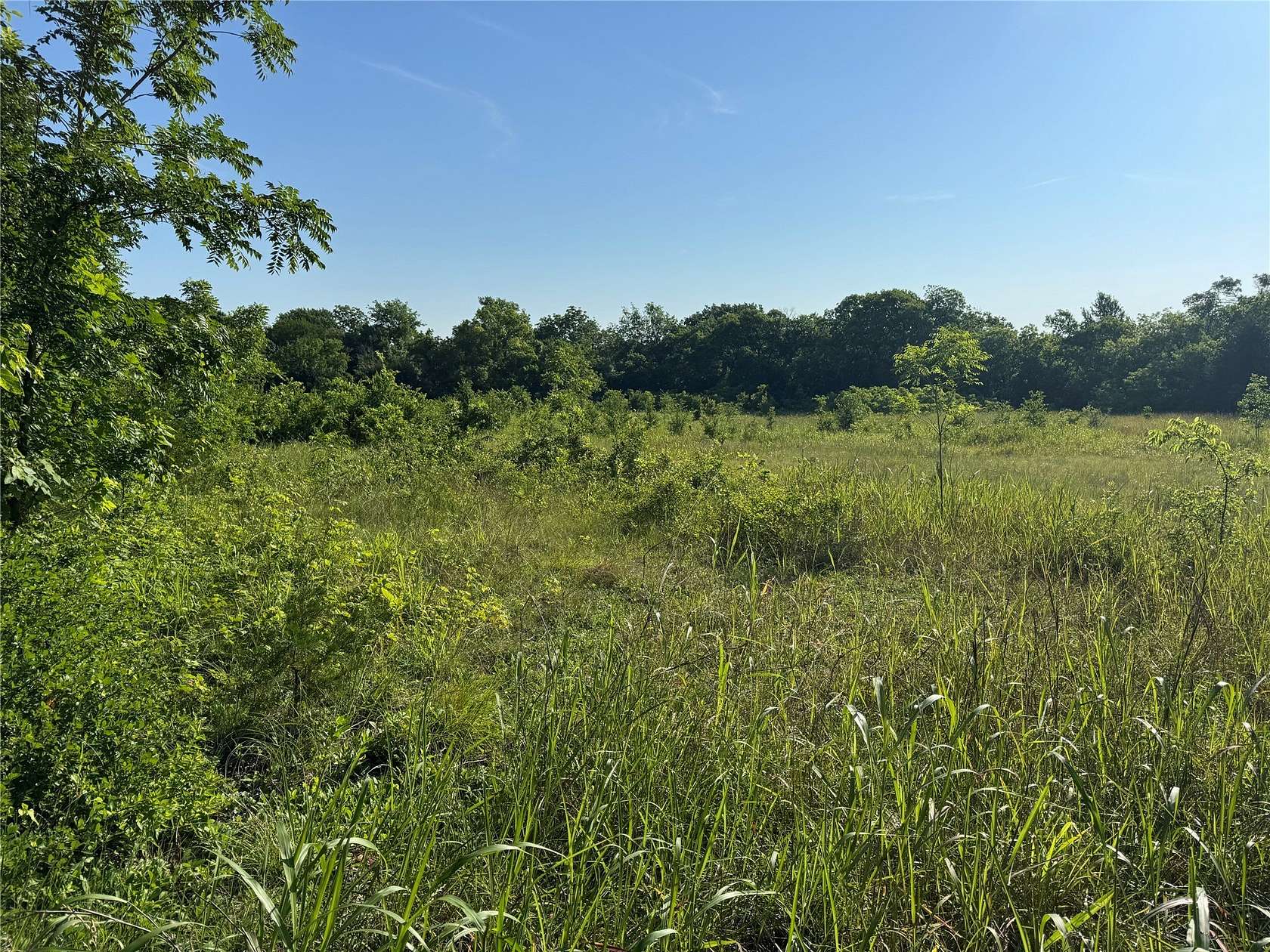 7.9 Acres of Residential Land for Sale in Whitewright, Texas