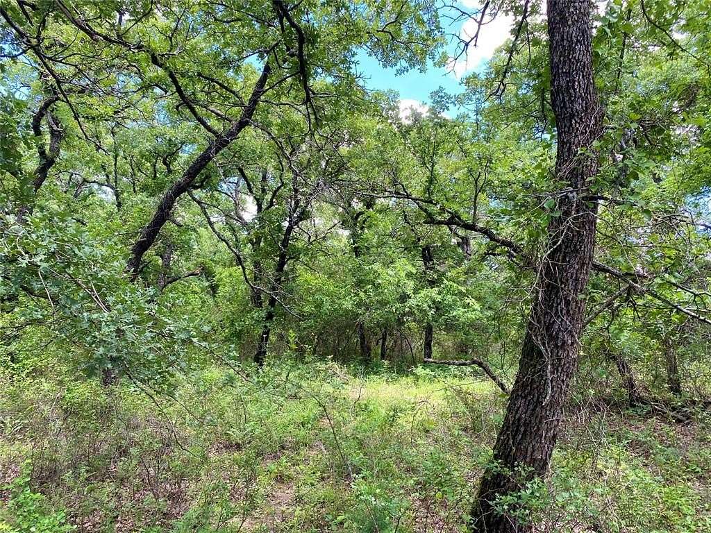 1.5 Acres of Land for Sale in Nocona, Texas