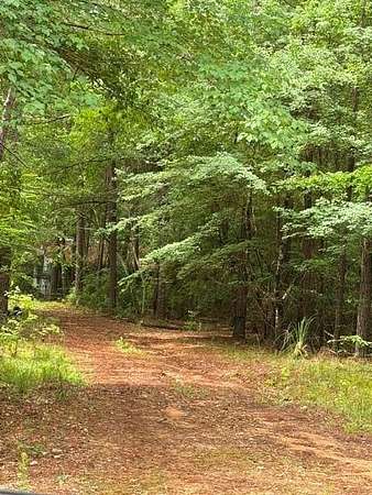 10 Acres of Recreational & Residential Land for Sale in Seale, Alabama