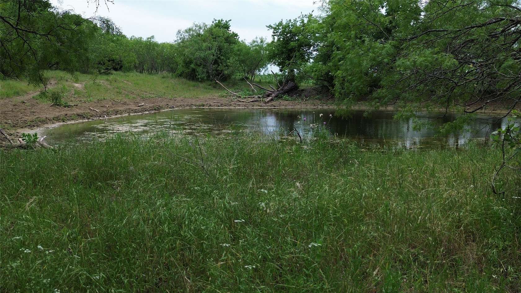 202 Acres of Land for Sale in Hillsboro, Texas