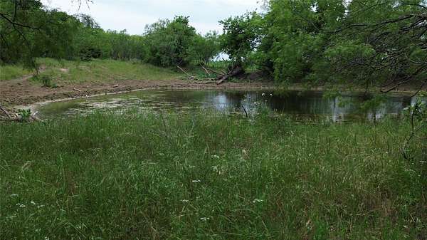 202 Acres of Land for Sale in Hillsboro, Texas