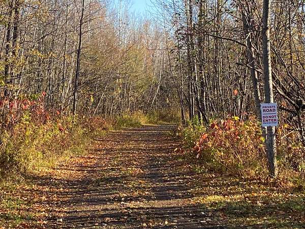 10 Acres of Land for Sale in Beaver Bay Township, Minnesota