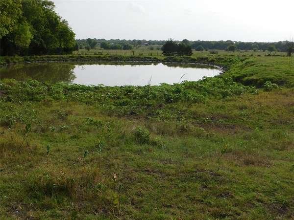 33.5 Acres of Agricultural & Residential Land for Sale in Celeste, Texas
