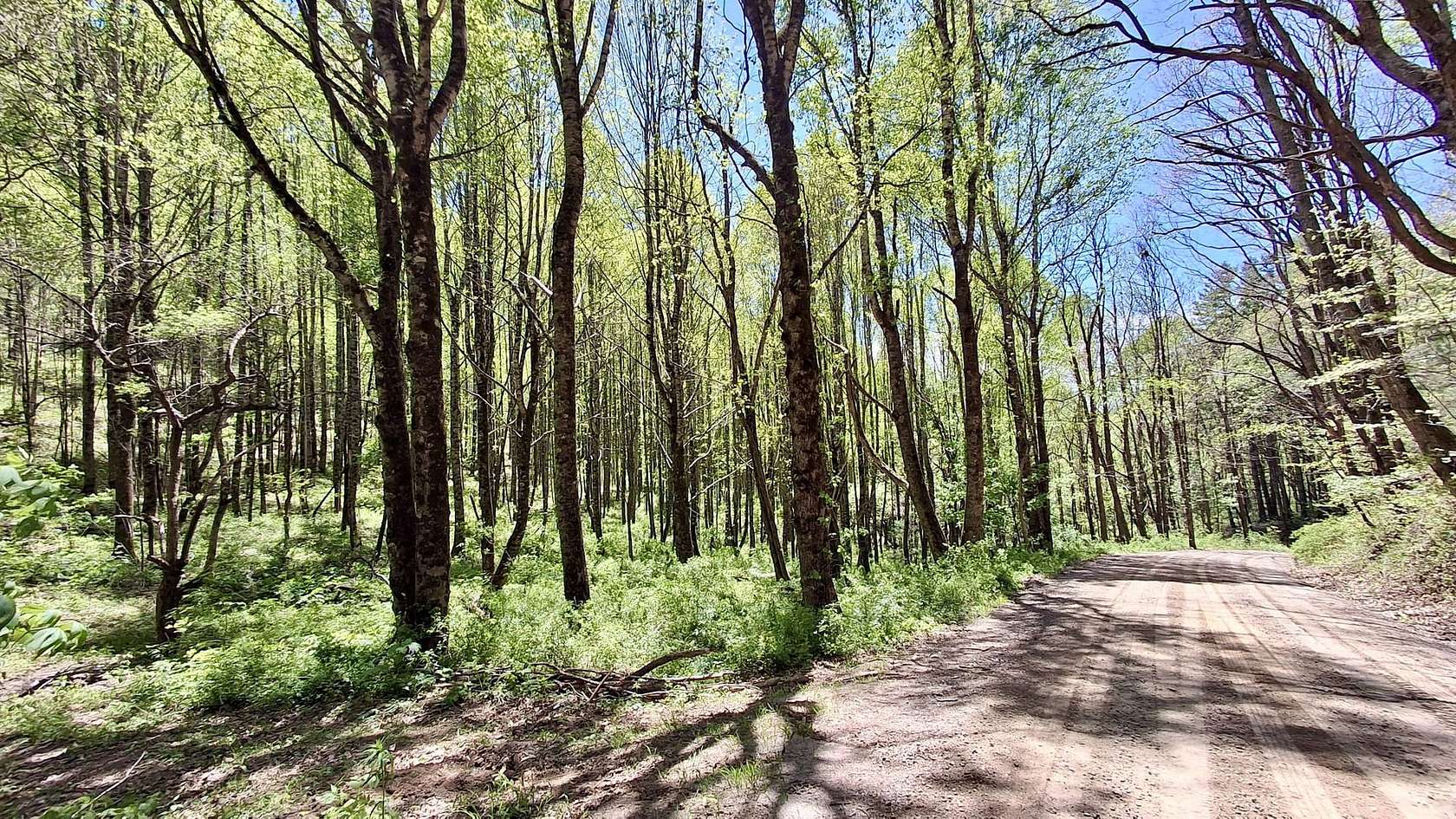 19.5 Acres of Recreational Land for Sale in Highlands, North Carolina