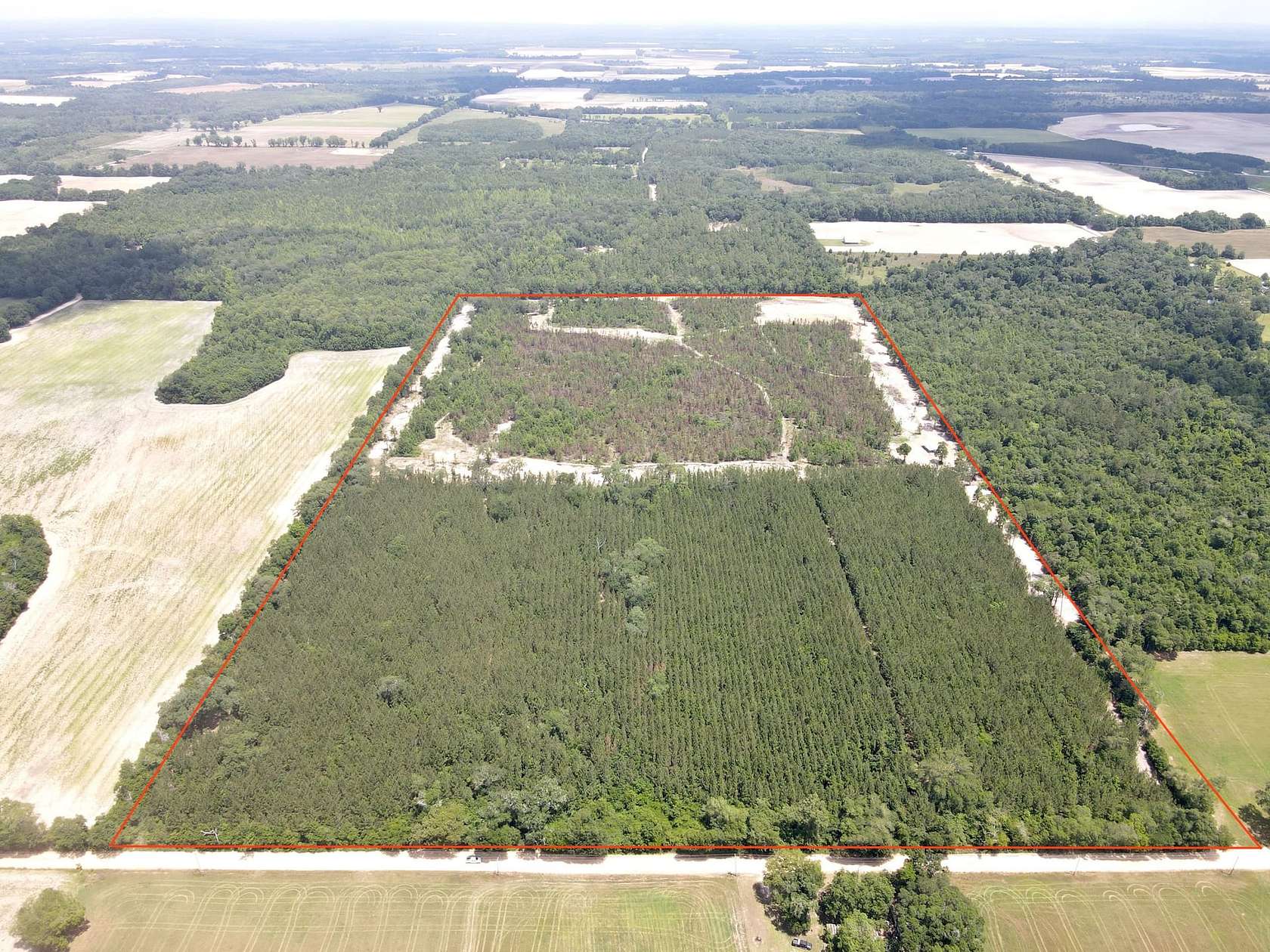 74 Acres of Land for Sale in Malone, Florida