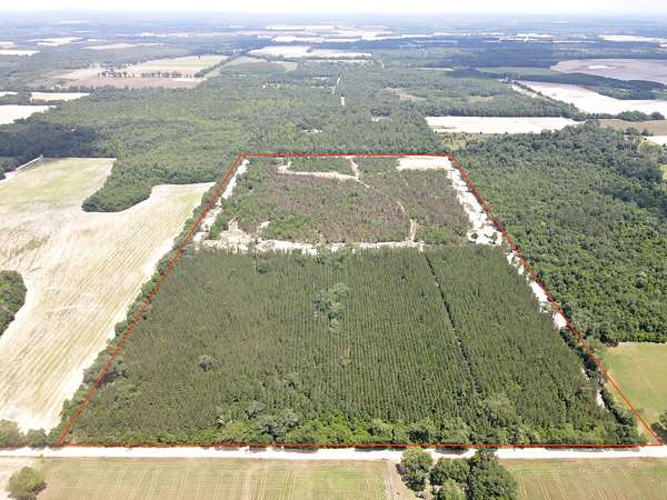 74 Acres of Land for Sale in Malone, Florida