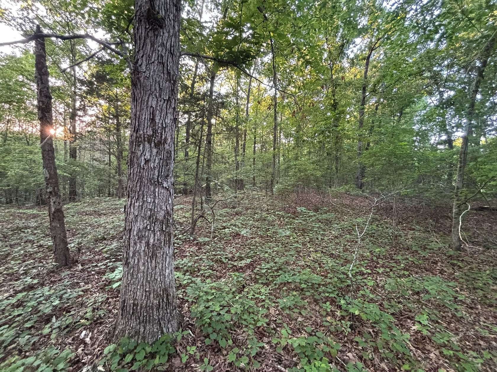 57 Acres of Recreational Land for Sale in Pinson, Tennessee