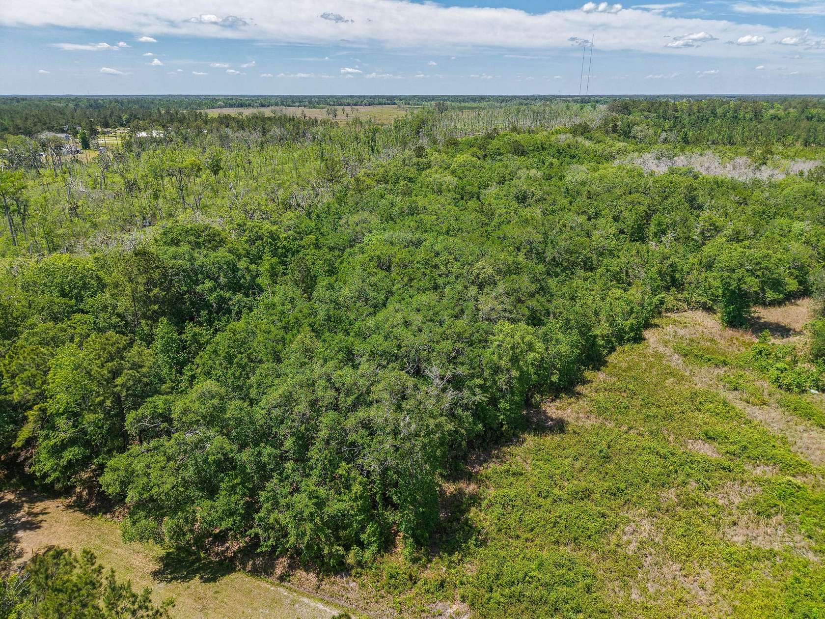 3 Acres of Recreational Land for Sale in Kingsland, Georgia
