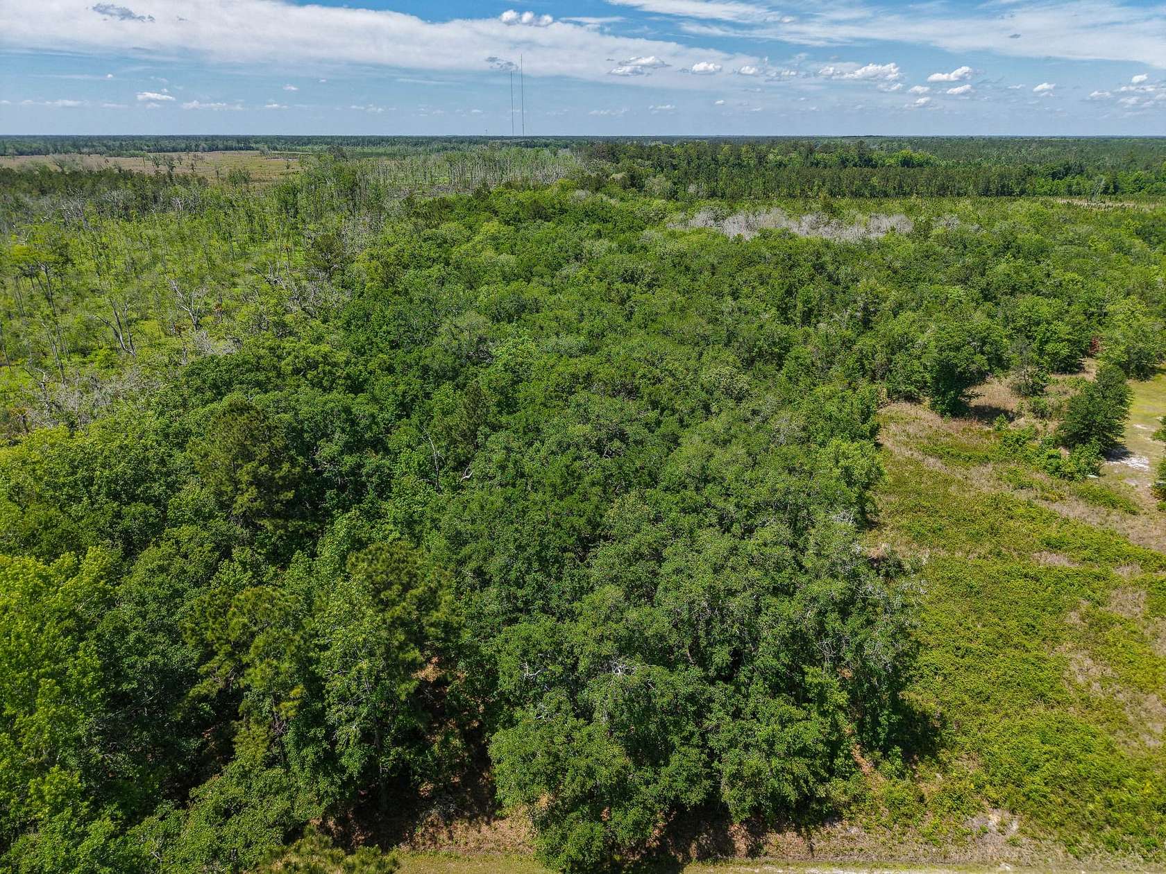 3 Acres of Recreational Land for Sale in Kingsland, Georgia