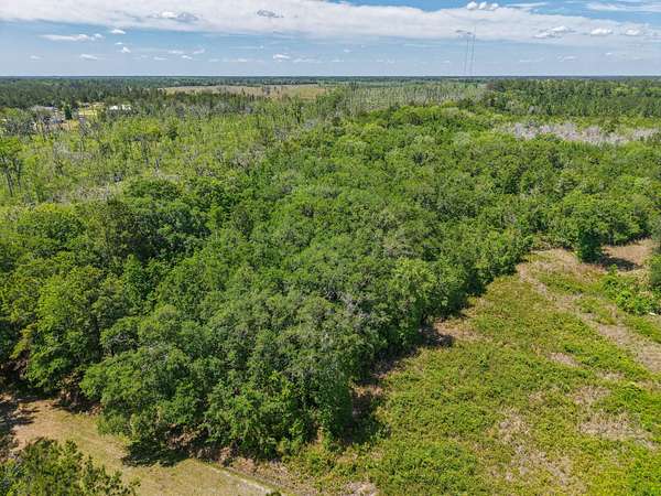 3 Acres of Recreational Land for Sale in Kingsland, Georgia