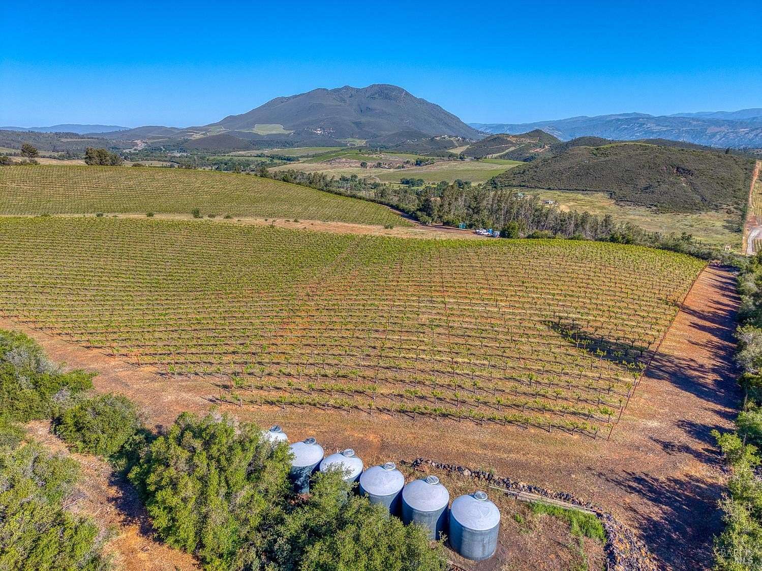 70.8 Acres of Agricultural Land for Sale in Lower Lake, California