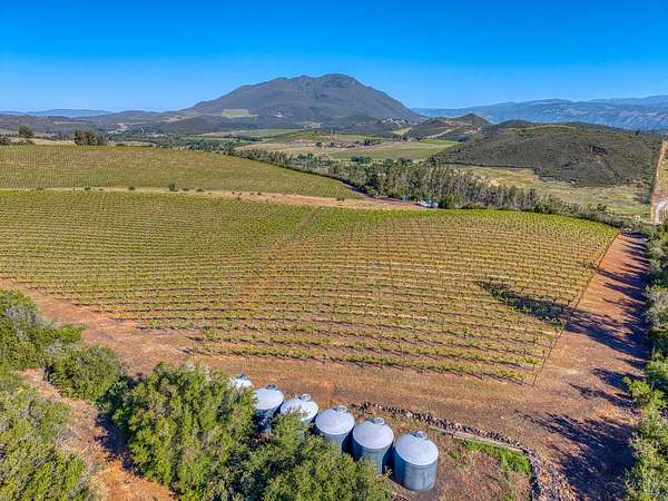 70.8 Acres of Agricultural Land for Sale in Lower Lake, California
