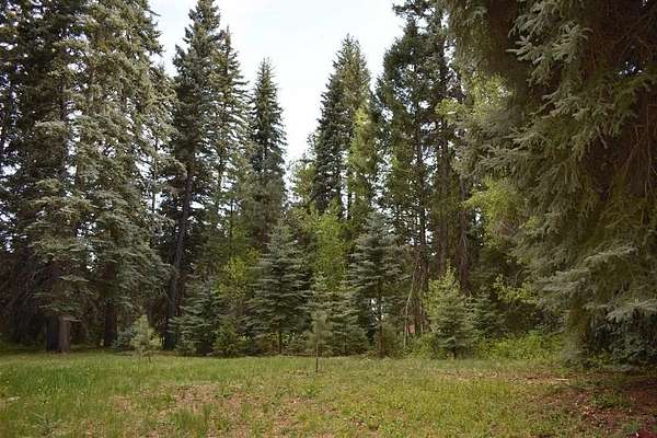0.81 Acres of Land for Sale in Bayfield, Colorado