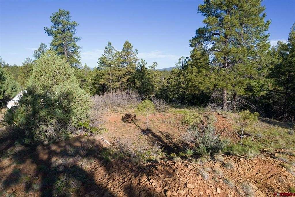 1.17 Acres of Residential Land for Sale in Pagosa Springs, Colorado