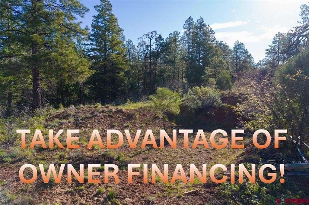 1.17 Acres of Residential Land for Sale in Pagosa Springs, Colorado