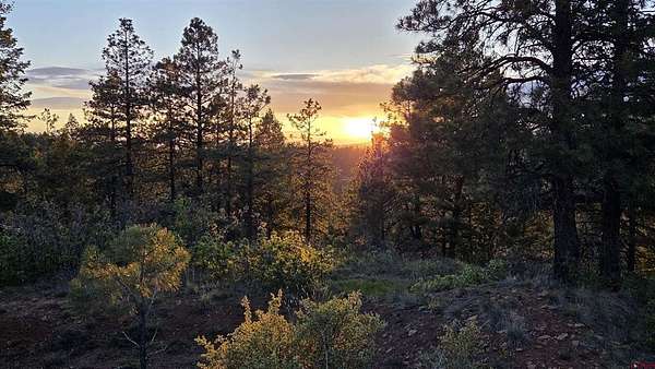 1.17 Acres of Land for Sale in Pagosa Springs, Colorado