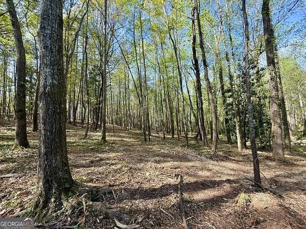 2.4 Acres of Residential Land for Sale in Toccoa, Georgia
