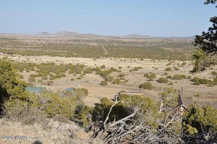 23 Acres of Recreational & Residential Land for Sale in Concho, Arizona