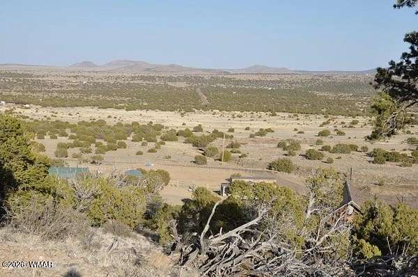 23 Acres of Recreational & Residential Land for Sale in Concho, Arizona