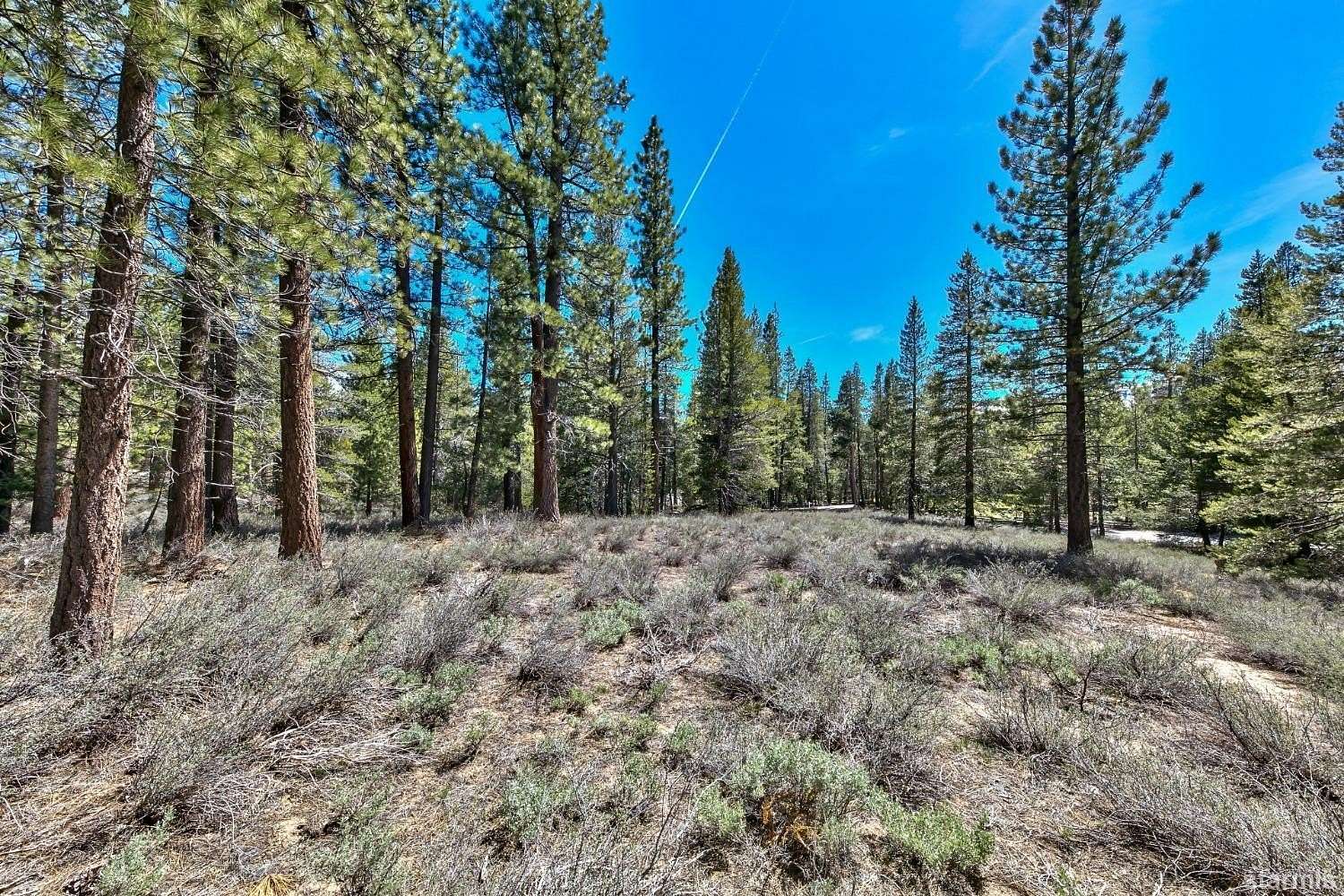 4.64 Acres of Residential Land for Sale in South Lake Tahoe, California