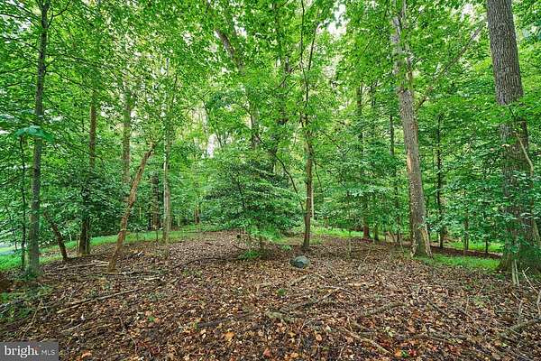 2.88 Acres of Residential Land for Sale in Great Falls, Virginia