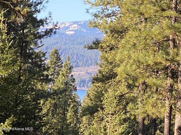 0.8 Acres of Residential Land for Sale in Harrison, Idaho