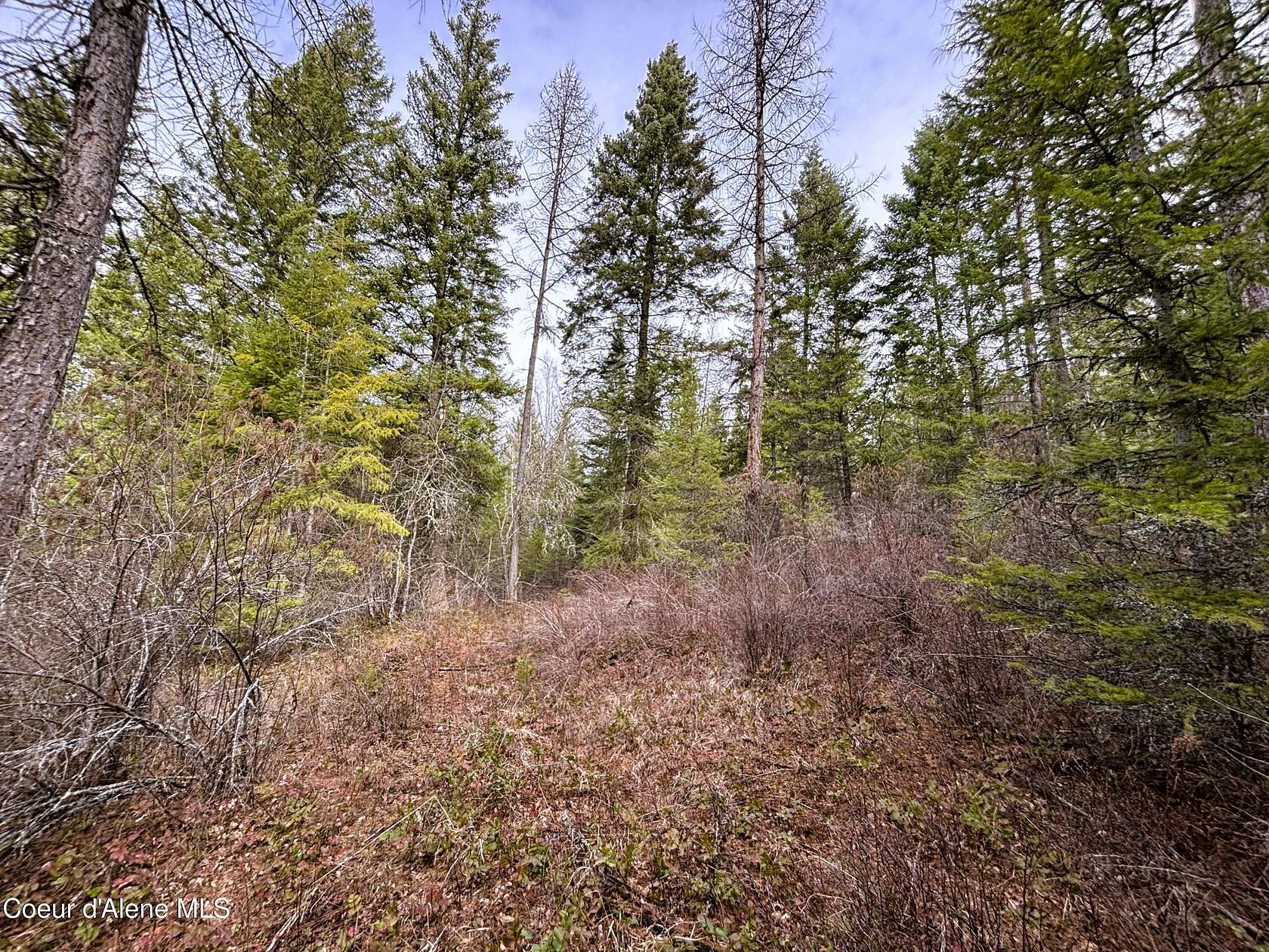 5 Acres of Land for Sale in Cocolalla, Idaho