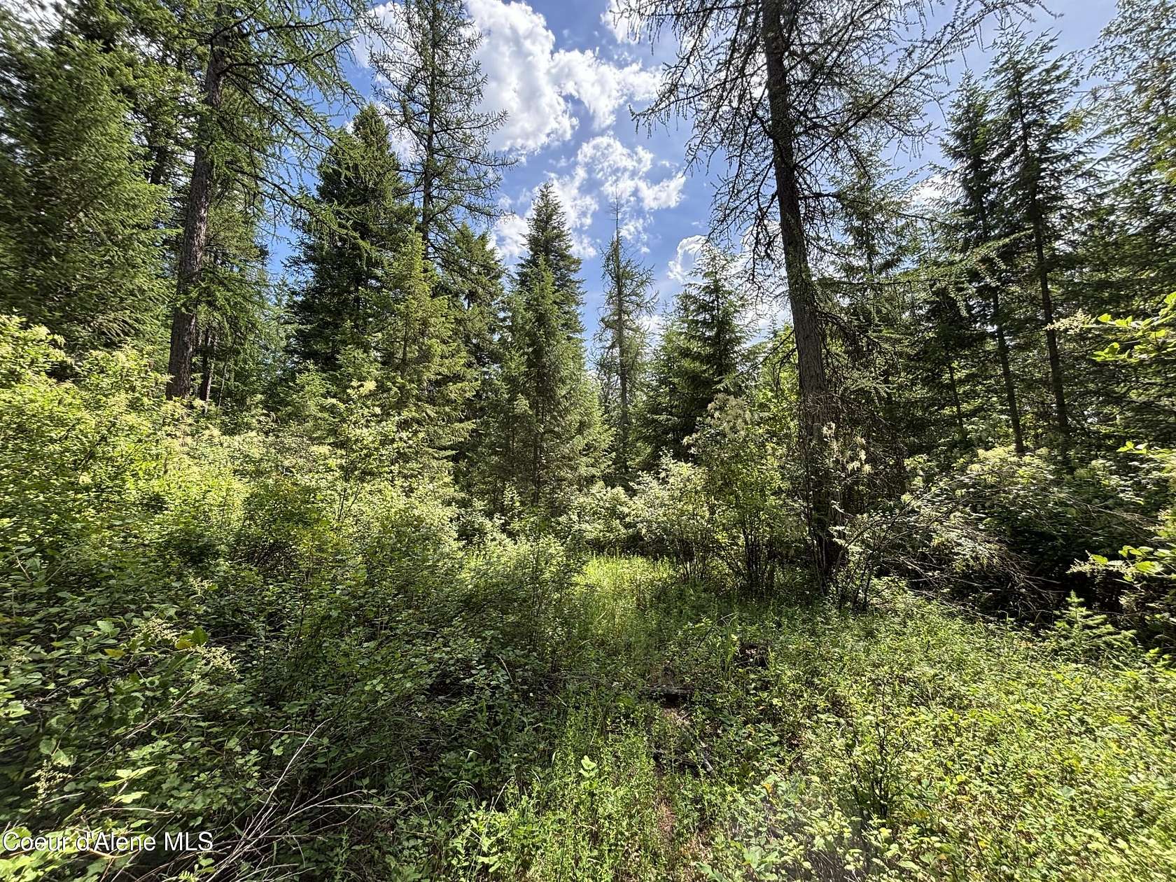 5 Acres of Land for Sale in Cocolalla, Idaho