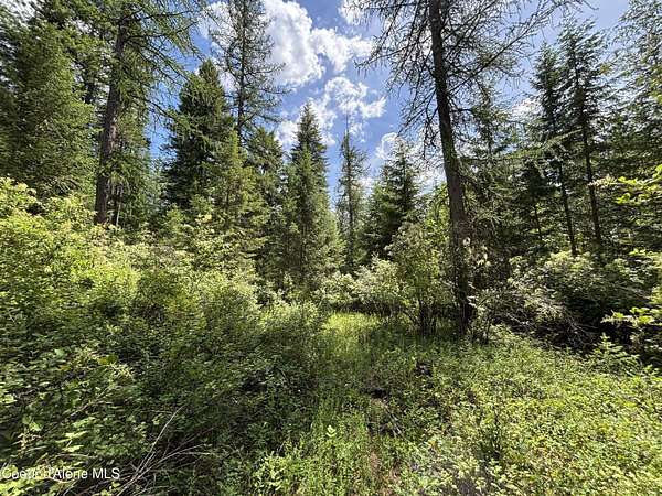 5 Acres of Land for Sale in Cocolalla, Idaho