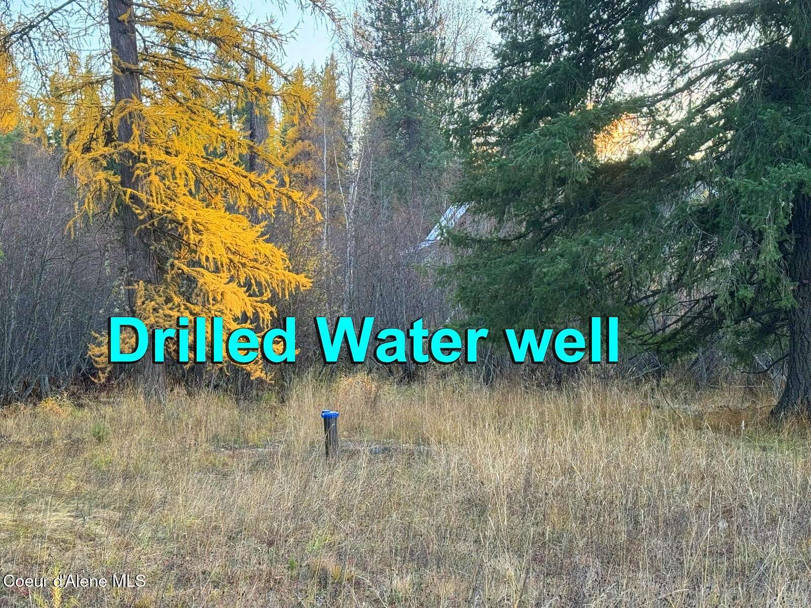10 Acres of Land for Sale in Sandpoint, Idaho