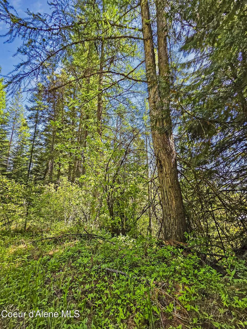 5 Acres of Land for Sale in Priest River, Idaho