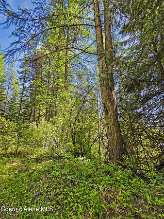 5 Acres of Land for Sale in Priest River, Idaho
