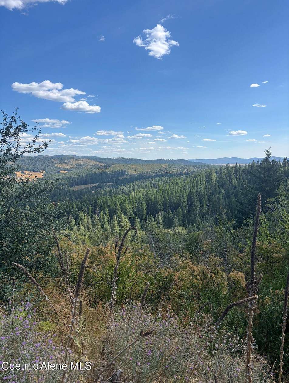 14.8 Acres of Recreational & Residential Land for Sale in Plummer, Idaho
