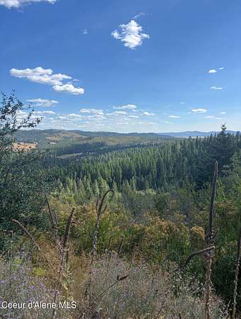 14.8 Acres of Recreational & Residential Land for Sale in Plummer, Idaho