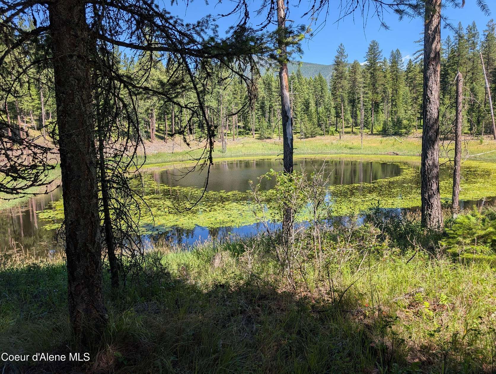 17.7 Acres of Recreational Land for Sale in Bonners Ferry, Idaho