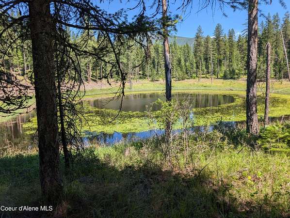 17.7 Acres of Recreational Land for Sale in Bonners Ferry, Idaho